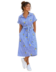 BAHE - Robe citron rayé bleu