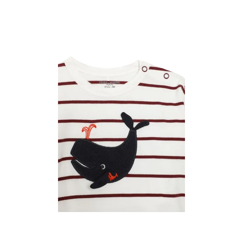 TDM - Marinière Manoa manches longues 100% coton bordeaux 6 - 24 mois pas cher| La Boîte de Magie Nice