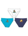 DISNEY- Boite de 3 Slips_ Pat Patrouille